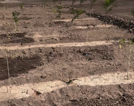 Fully Equipped Farmhouse with Pool, Cricket Ground & Cottages – Sasangir